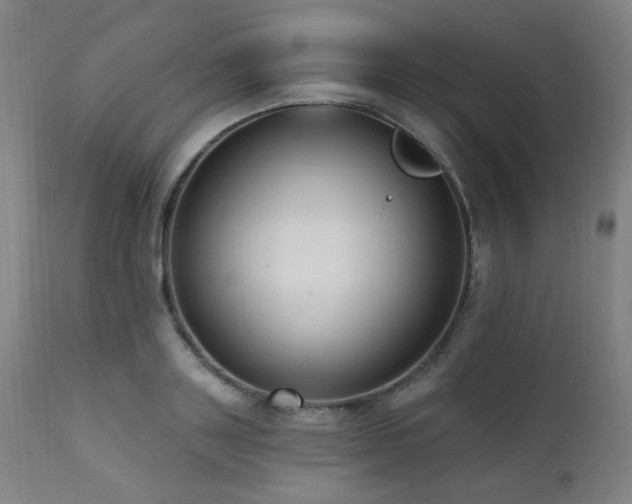 X0000111460843200907131454
