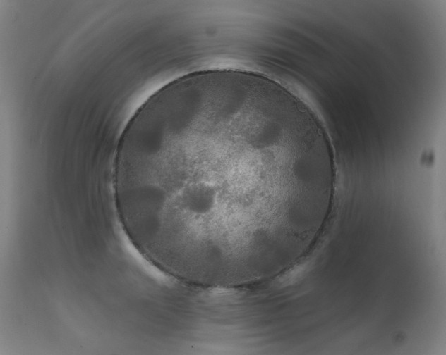 X0000111460847200907131454