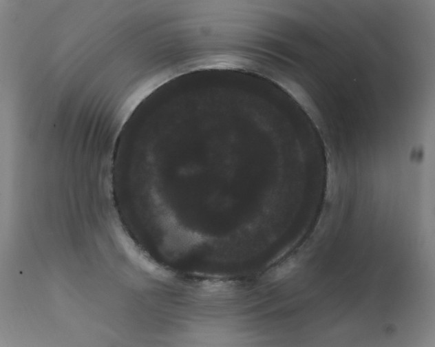 X0000111460850200907131454