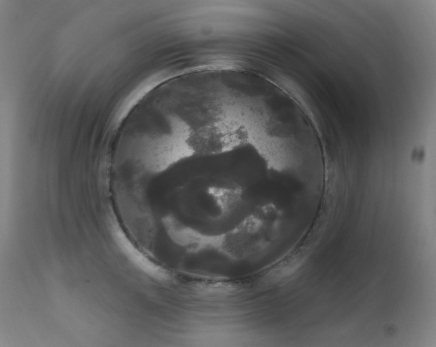 X0000111460851200907131454