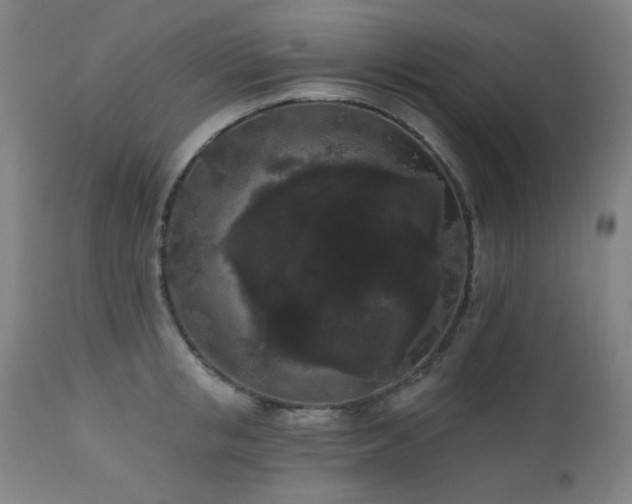 X0000111460853200907131454