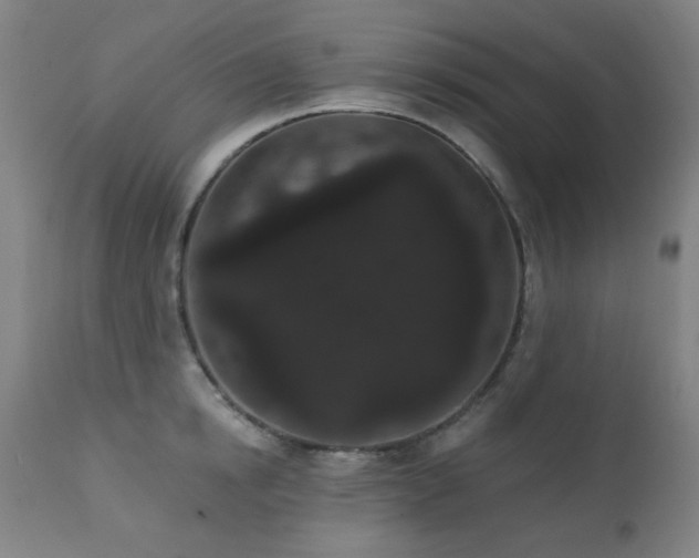 X0000111460854200907131454