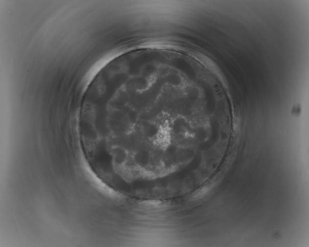 X0000111460855200907131454