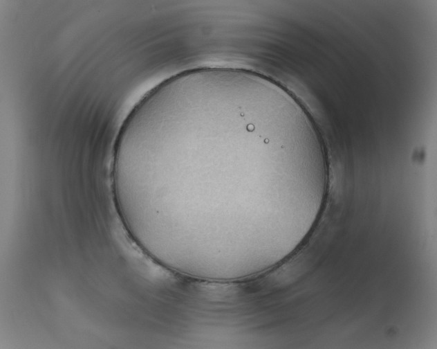 X0000111460856200907131454