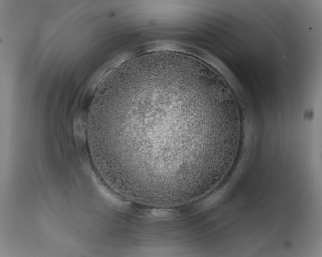 X0000111460857200907131454