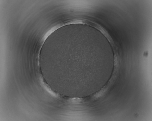 X0000111460858200907131454