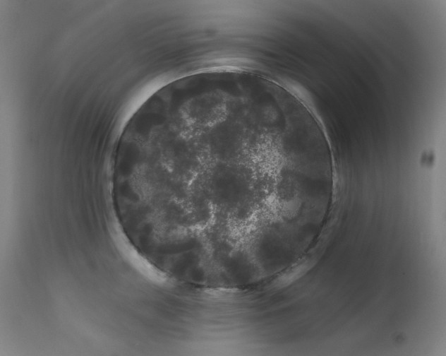 X0000111460859200907131454