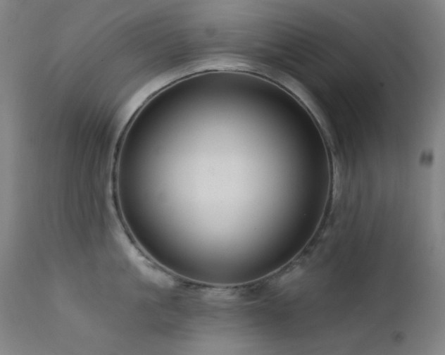 X0000111460861200907131454