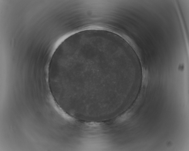 X0000111460862200907131454