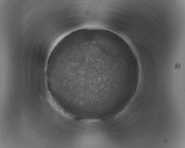 X0000111460864200907131454