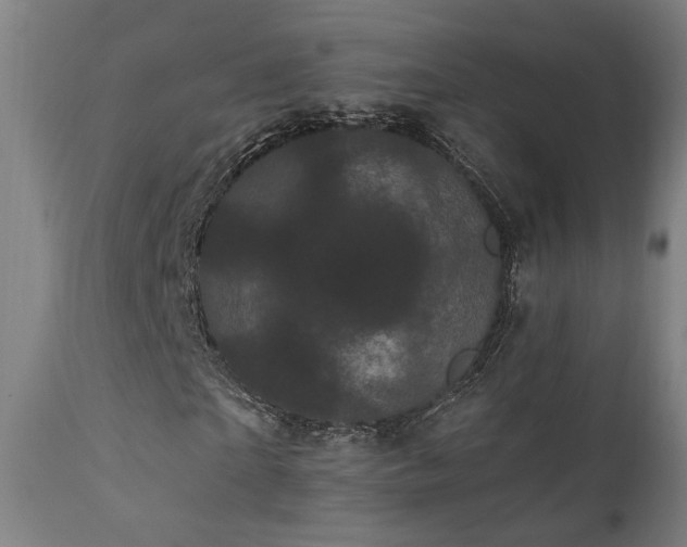 X0000111460865200907131453