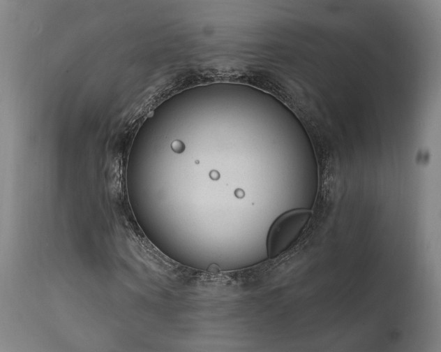 X0000111460866200907131453