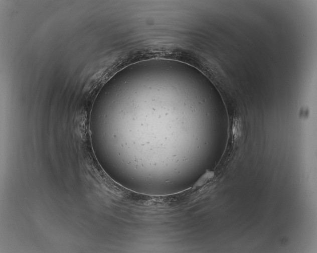 X0000111460867200907131453