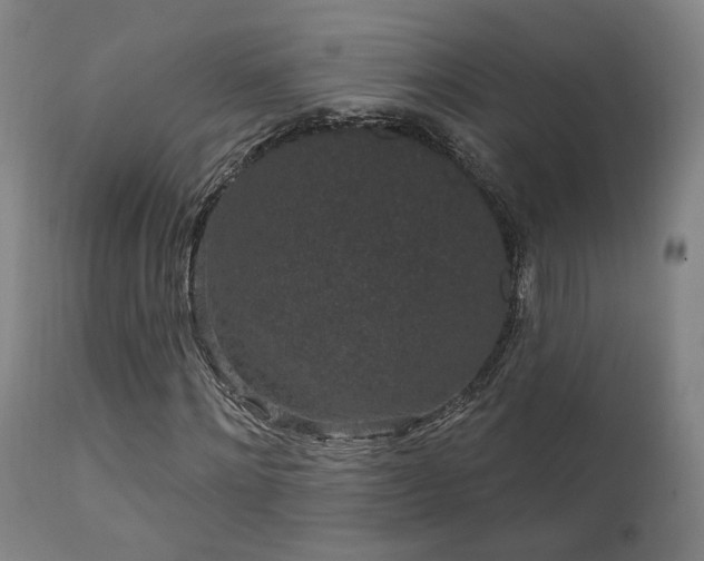 X0000111460868200907131453