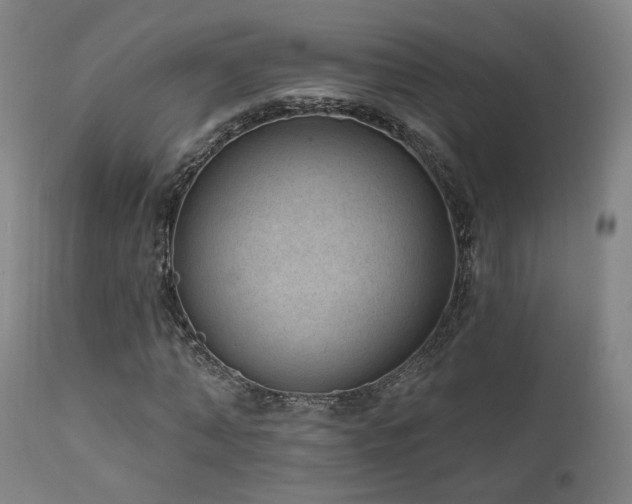 X0000111460870200907131453