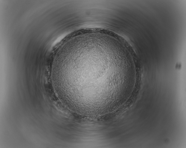 X0000111460871200907131453