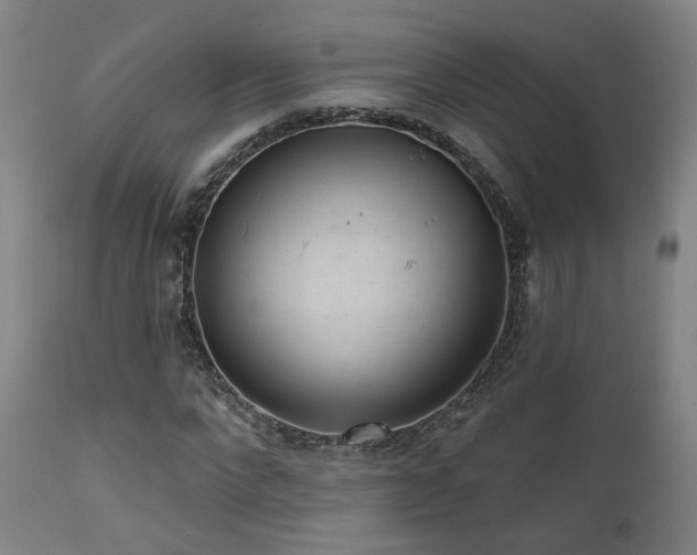X0000111460872200907131453