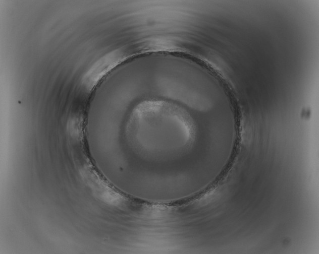 X0000111460873200907131453