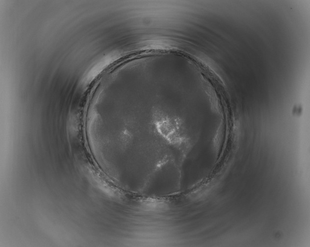 X0000111460874200907131453