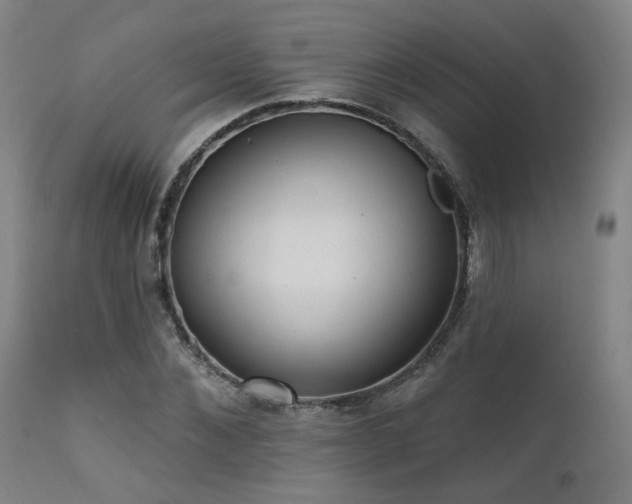 X0000111460876200907131453