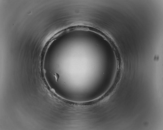 X0000111460877200907131453