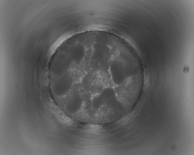 X0000111460878200907131453