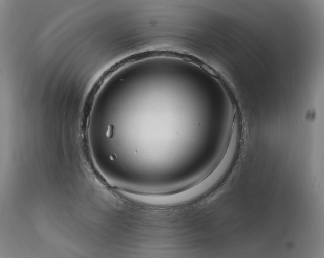 X0000111460880200907131453
