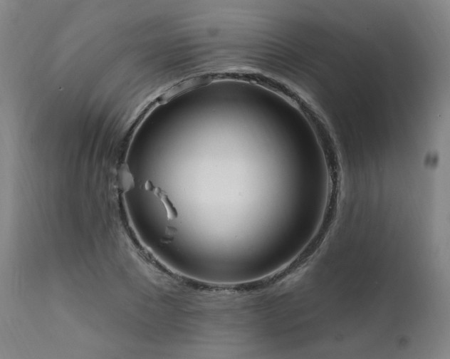 X0000111460881200907131453
