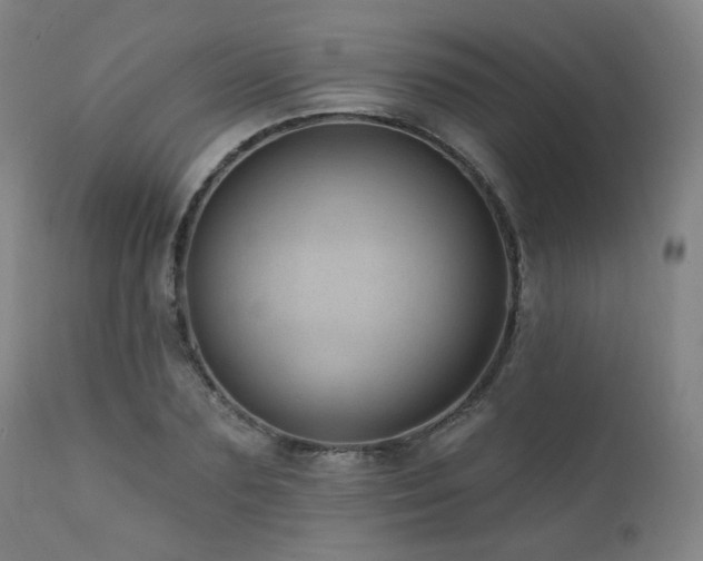 X0000111460883200907131453