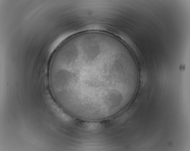 X0000111460886200907131453