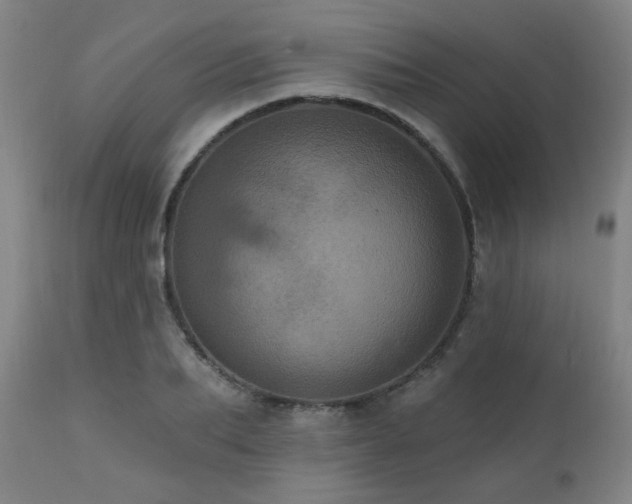 X0000111460887200907131453