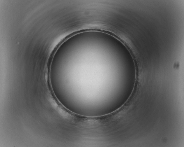 X0000111460888200907131453