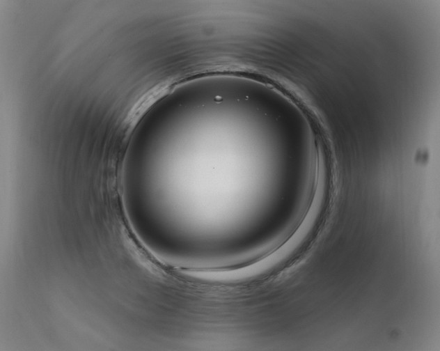 X0000111460889200907131453