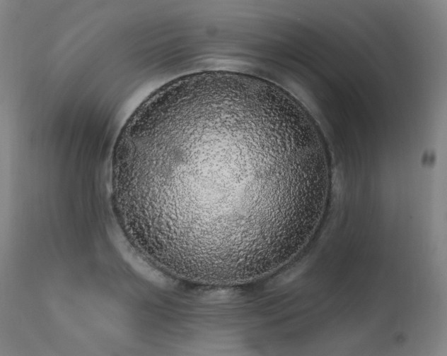 X0000111460891200907131453
