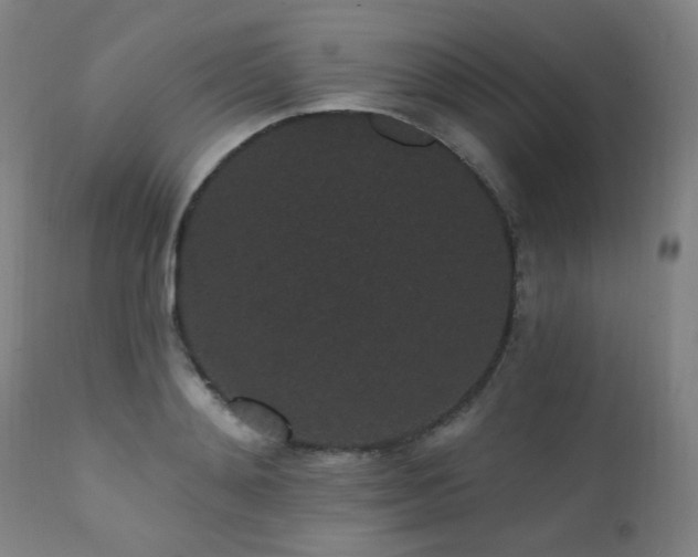X0000111460892200907131453