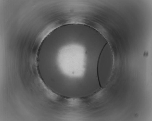 X0000111460893200907131453