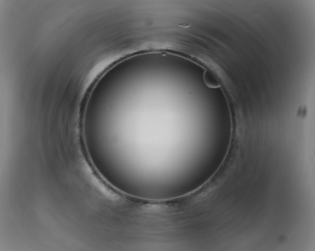 X0000111460894200907131453