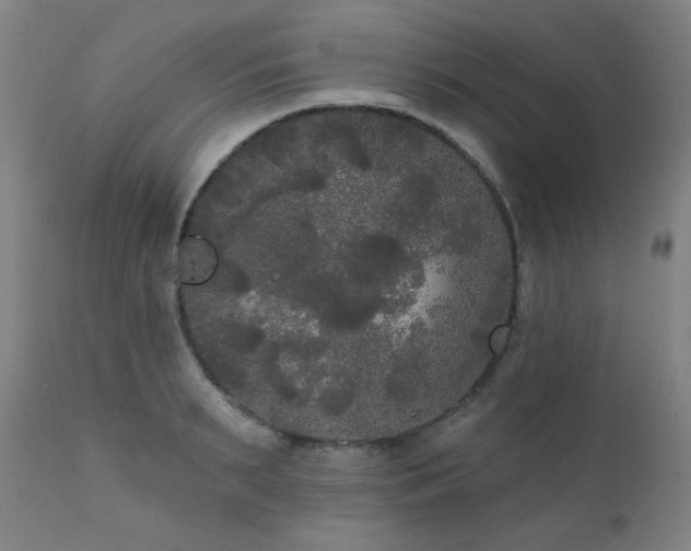 X0000111460895200907131453