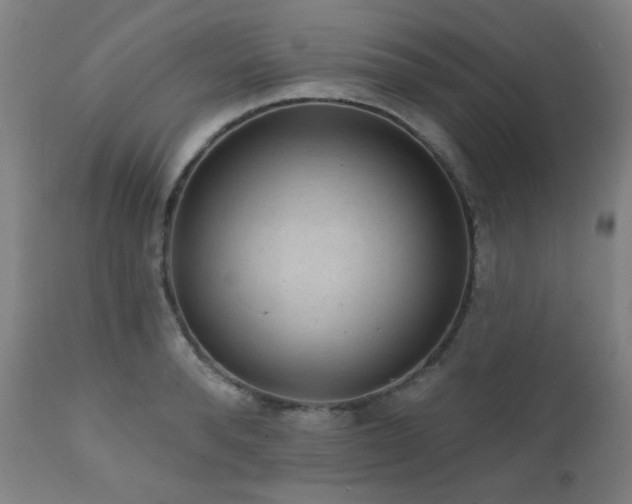 X0000111460896200907131453