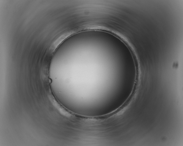 X0000111460897200907131453