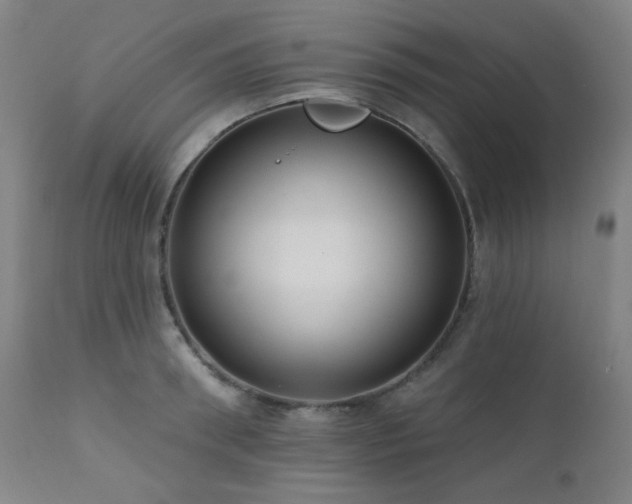 X0000111460898200907131453