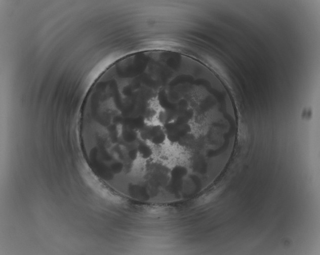 X0000111460899200907131453