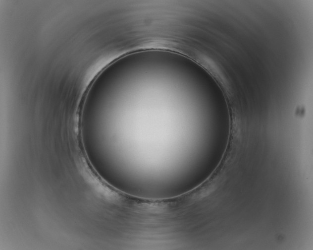X0000111460900200907131452
