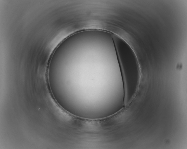 X0000111460901200907131452