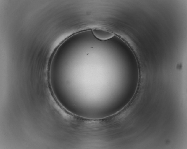 X0000111460902200907131452