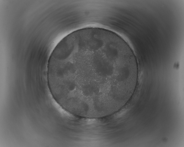 X0000111460903200907131452