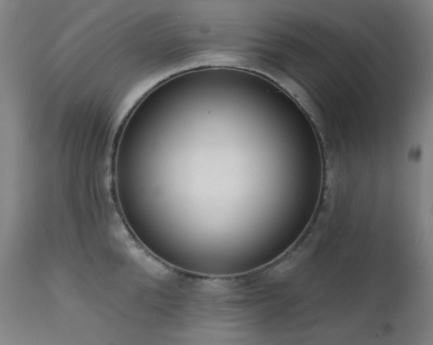 X0000111460904200907131452