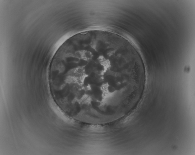 X0000111460907200907131452