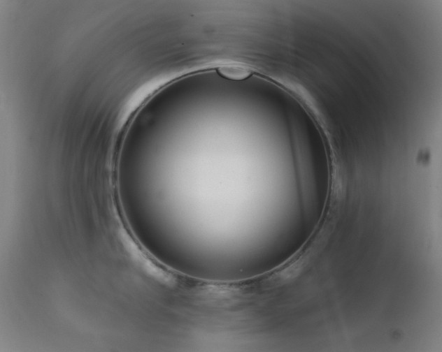 X0000111460910200907131452