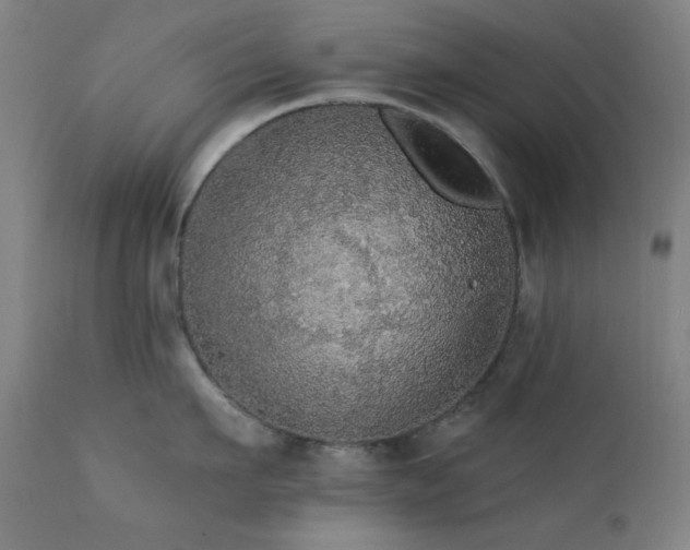 X0000111460911200907131452